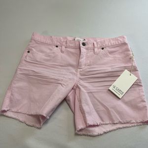 NWT Carve Designs Light Lilac Oahu 6” Short Size 6